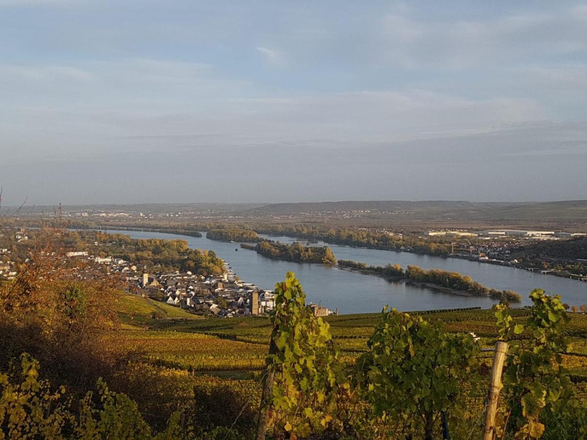 Rheingau Und Weltkulturerbe Mittelrheintal Erleben - Ferienappartement In Winkel Oestrich-Winkel Εξωτερικό φωτογραφία