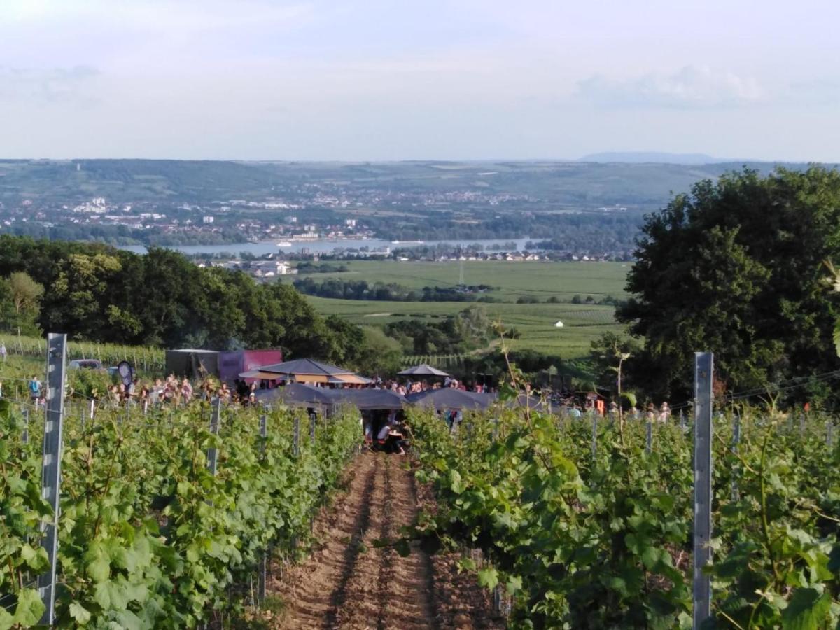 Rheingau Und Weltkulturerbe Mittelrheintal Erleben - Ferienappartement In Winkel Oestrich-Winkel Εξωτερικό φωτογραφία